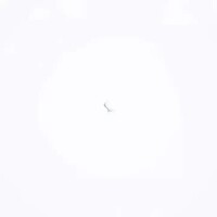 かや