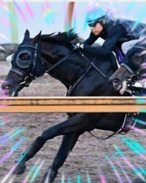 クロワ君(ӦｖӦ｡)(ӦｖӦ｡)