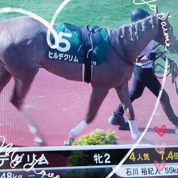 昨日の新潟