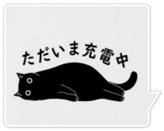 申し訳ありません??