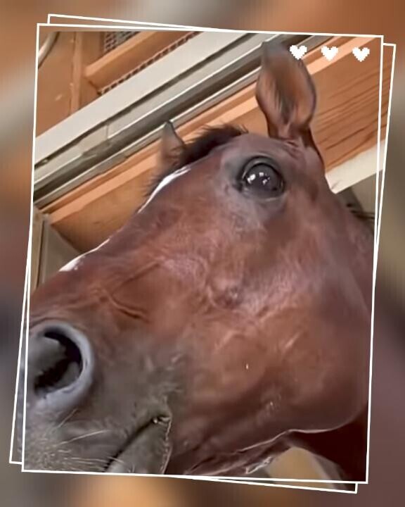 キラッキラ?