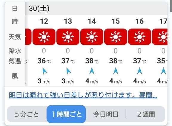 まだまだ夏は続くそうです