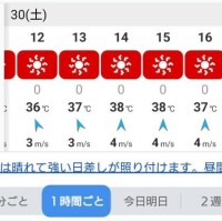 大石