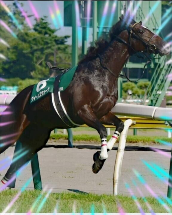 大丈夫でしょうか…?？