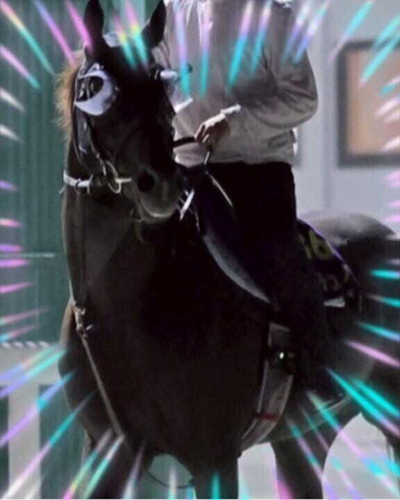 クロワ君?(?ｖ?｡)?(?ｖ?｡)