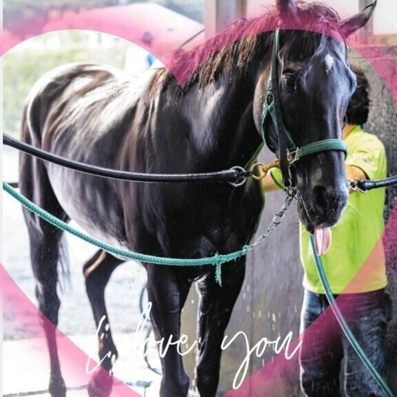 ルガル君❤(ӦｖӦ｡)❤(ӦｖӦ｡)❤(ӦｖӦ｡)