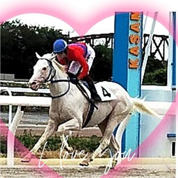 アオラキ君?(?ｖ?｡)?(?ｖ?｡)