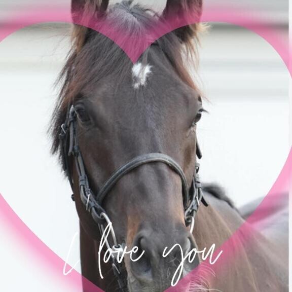 既に脳汁が出ています?