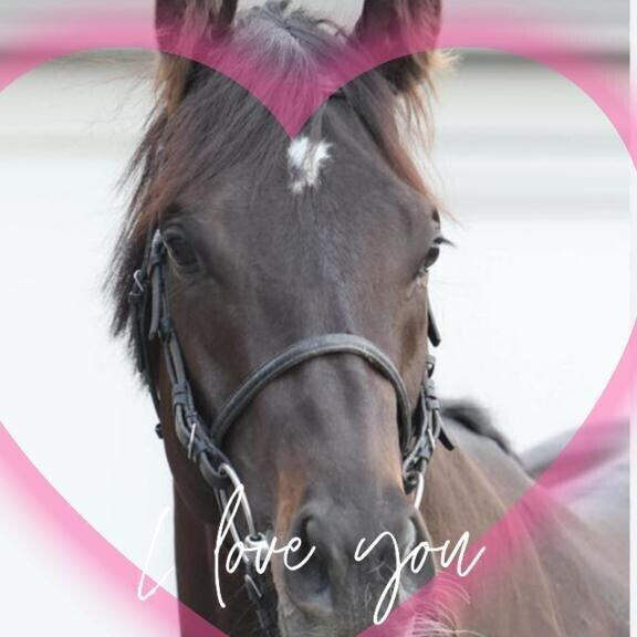 既に脳汁が出ています💦（笑）