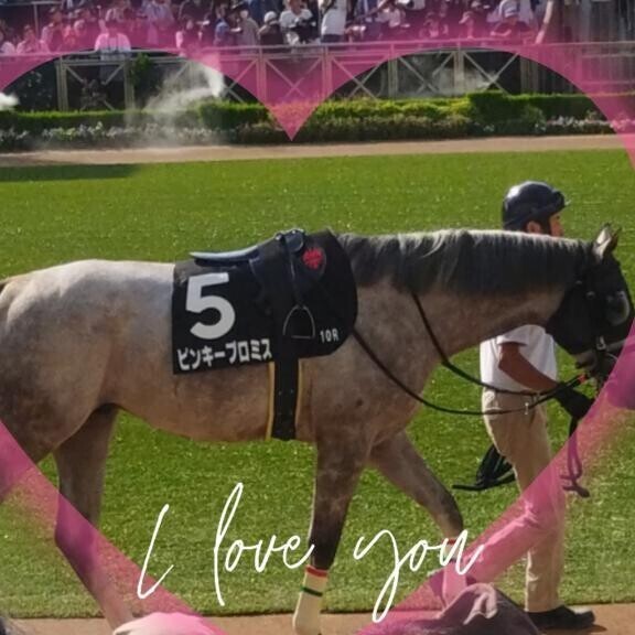 ピンキープロミス君(ӦｖӦ｡)(ӦｖӦ｡)