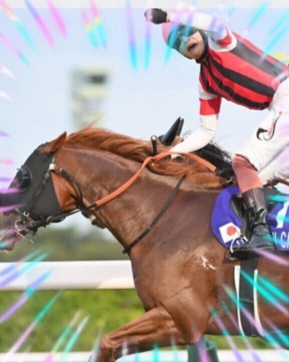 大荒れでした…????