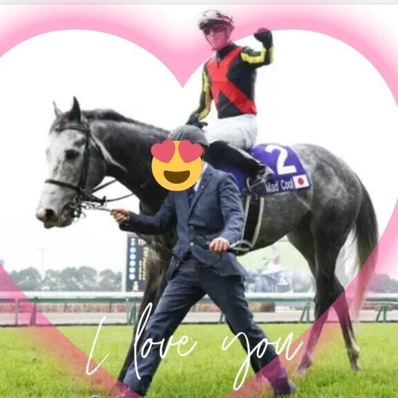 マッドクール君