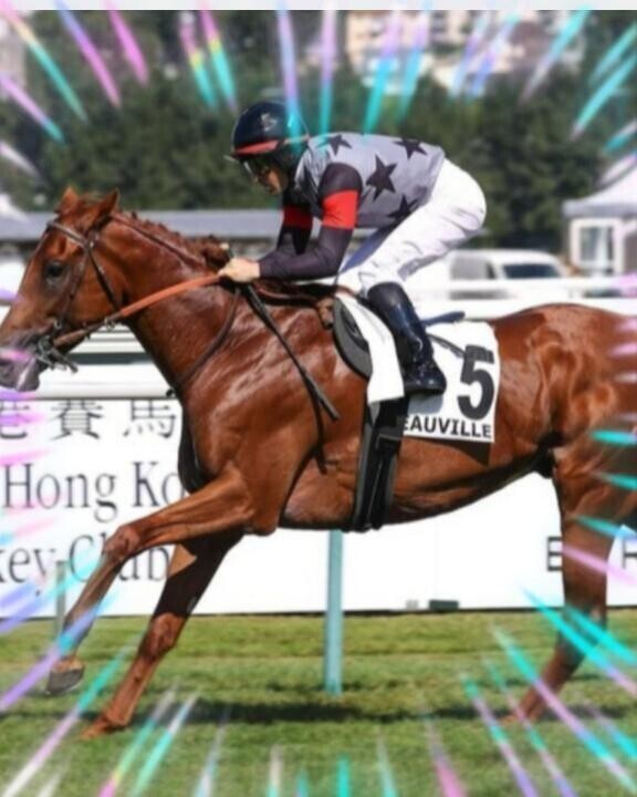 アロヒアリイ君ヽ(｀´)/