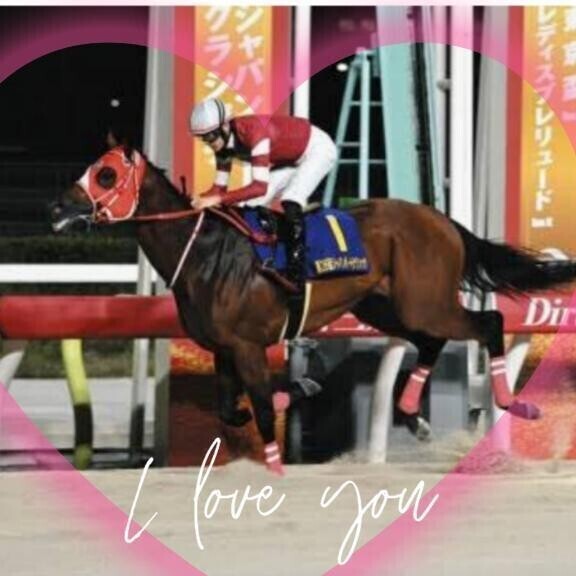 圧倒的人気ヽ(｀´)/