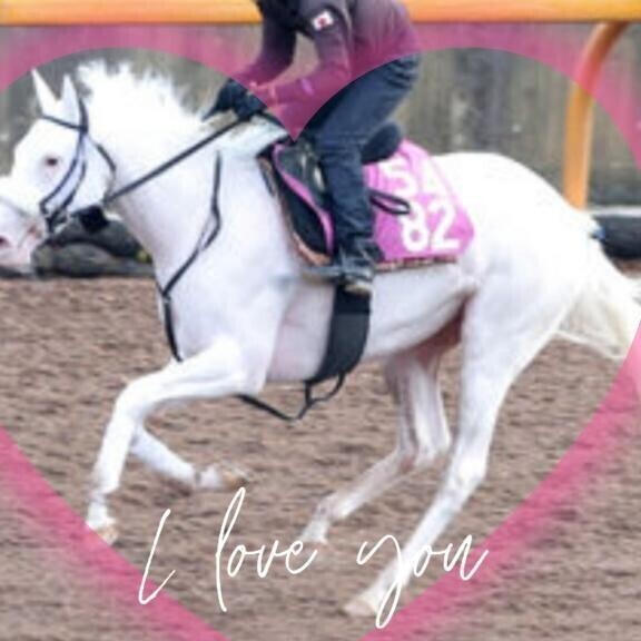 マルガちゃん(ӦｖӦ｡)(ӦｖӦ｡)