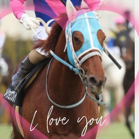 メイショウブレゲ君ヽ(｀´)/