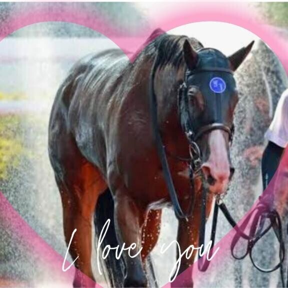 ママコチャが船橋に♪ヽ(｀▽´)/♪