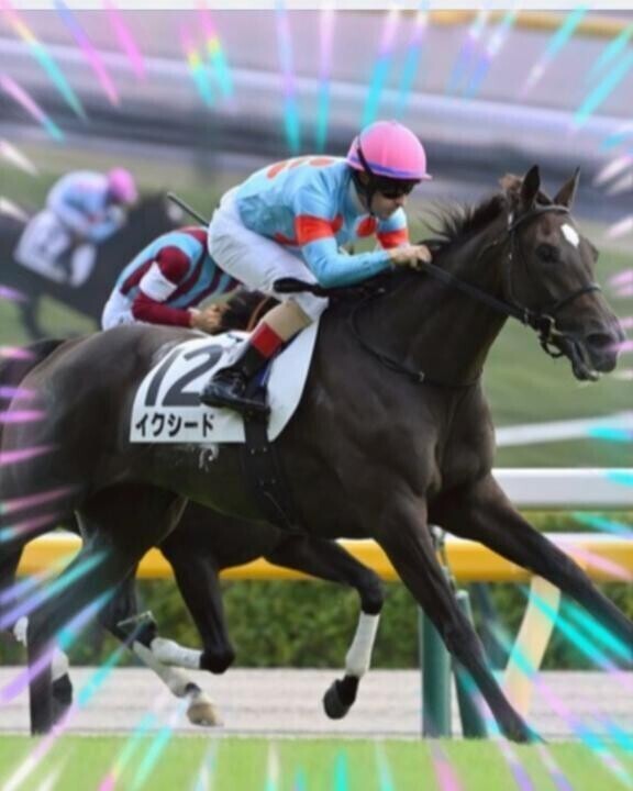 イクシードちゃん(ӦｖӦ｡)(ӦｖӦ｡)