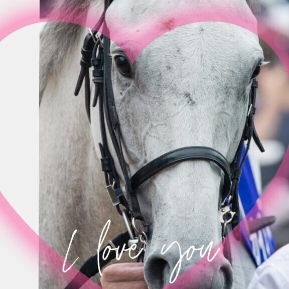 ガイアフォース君?(?ｖ?｡)?(?ｖ?｡)