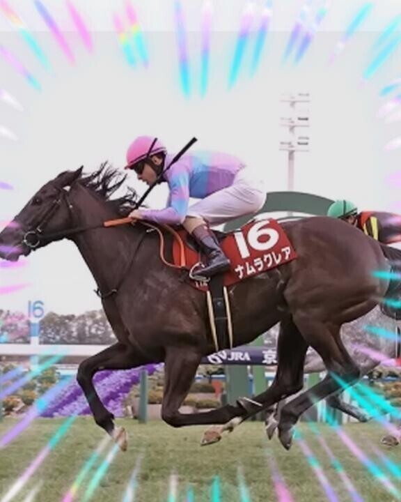 ナムラクレアちゃん