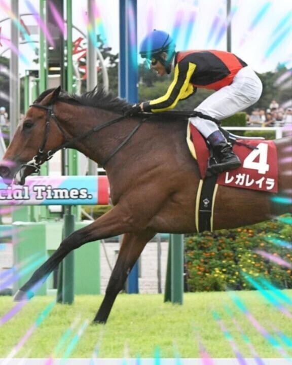 レガレイラちゃん(ӦｖӦ｡)(ӦｖӦ｡)