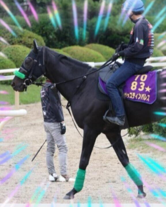 ジャスティンパレス君