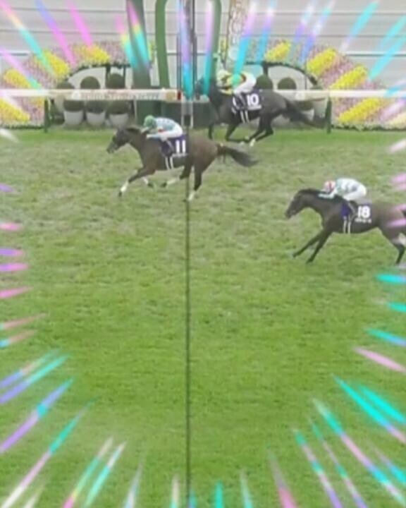 エリカちゃん?惜しい…??