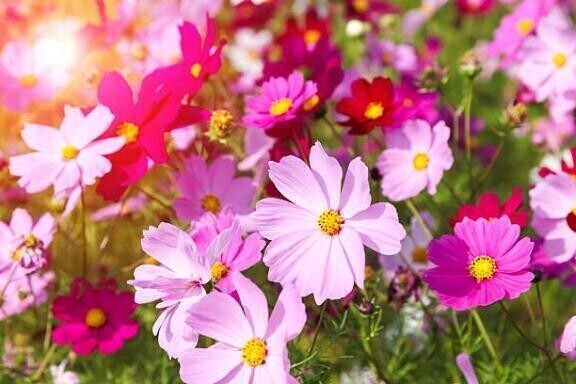 只今向かっております