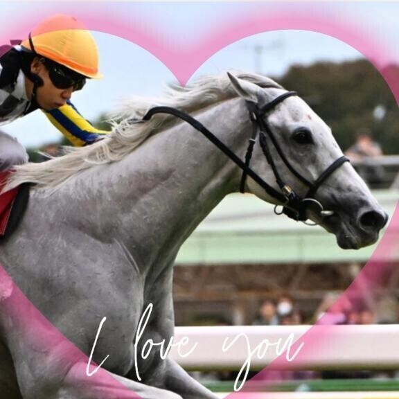 11月のガイア君(ӦｖӦ｡)(ӦｖӦ｡)