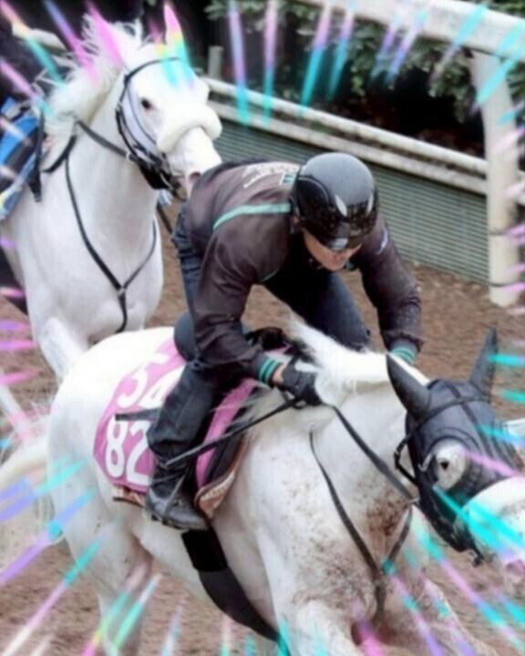 白毛兄妹♪ヽ(｀▽´)/♪