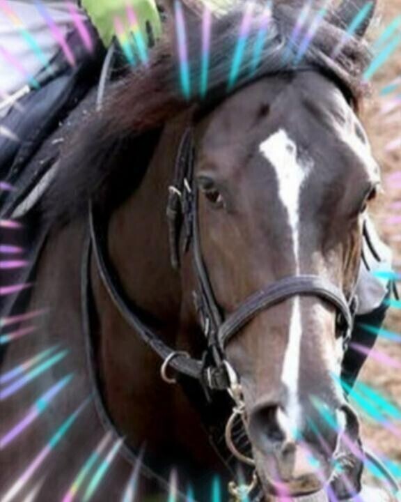 ディープモンスターがヽ(｀´)/