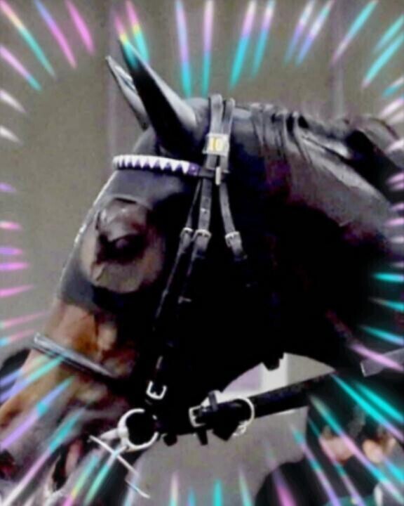 カムニャックちゃん