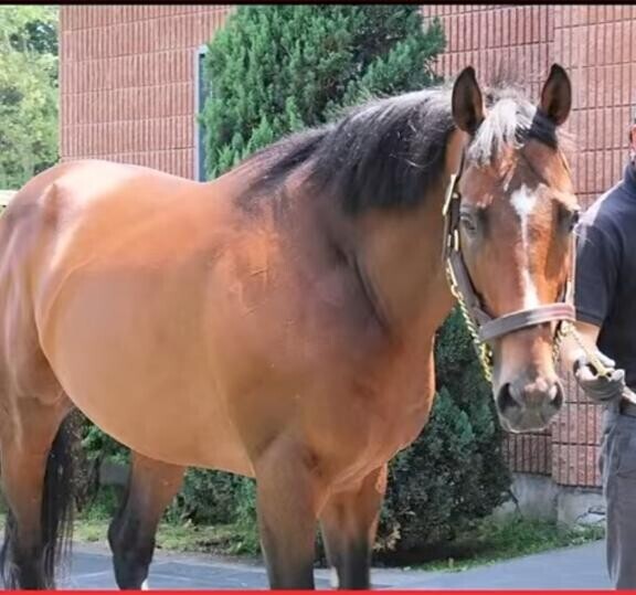 ムチムチボディー?(?ｖ?｡)?(?ｖ?｡)