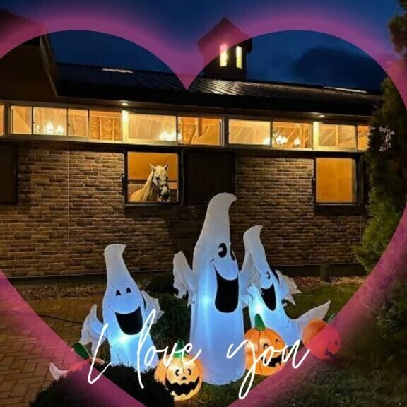 お化けより怖いラニ君?(?ｖ?｡)