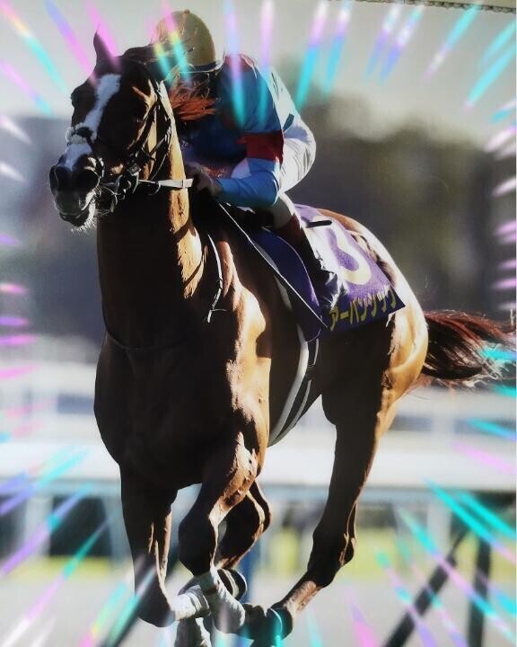 11月もよろしくお願いいたします♪♪♪