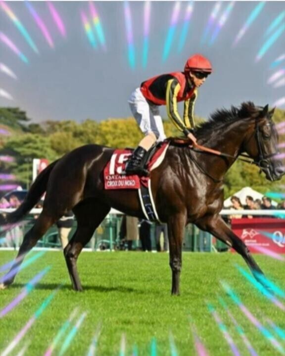 クロワ君のラス１