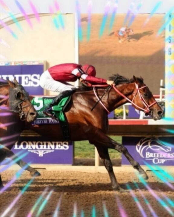 ダート世界一〜〜〜ヽ(｀´)/