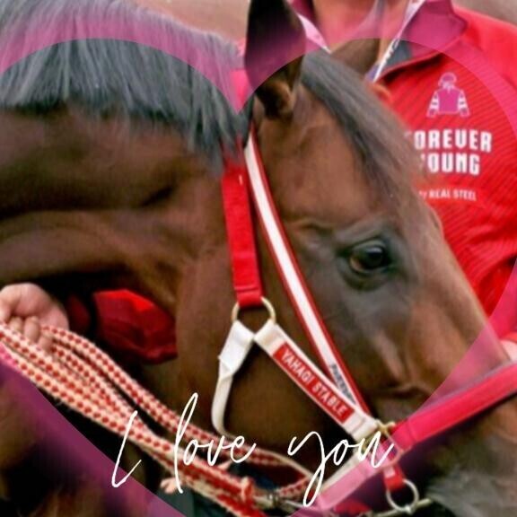 来年の話し♪♪♪ヽ(｀▽´)/♪♪♪