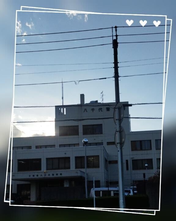 今日は此処にいました♪