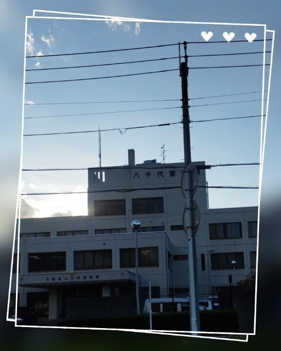 今日は此処にいました