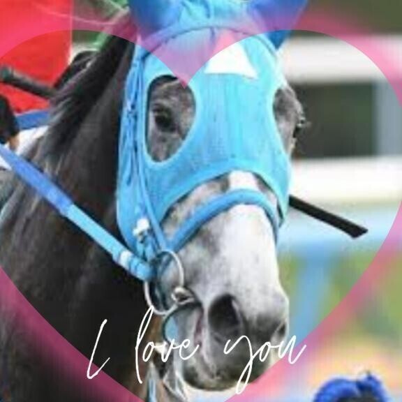 ゴルシちゃん産駒も(ӦｖӦ｡)(ӦｖӦ｡)