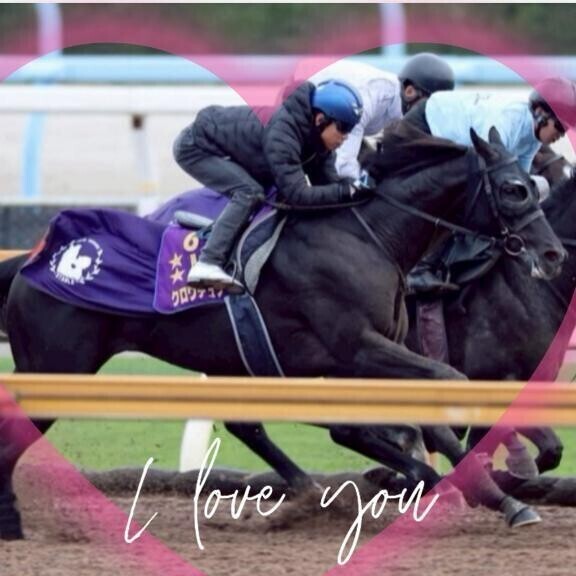 クロワ君(ӦｖӦ｡)(ӦｖӦ｡)