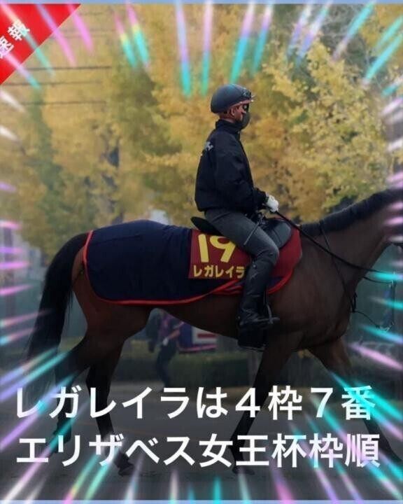 枠順出てましたヽ(｀´)/