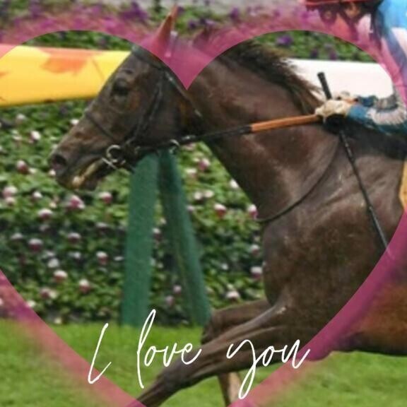 ゴルシちゃんの娘(ӦｖӦ｡)(ӦｖӦ｡)