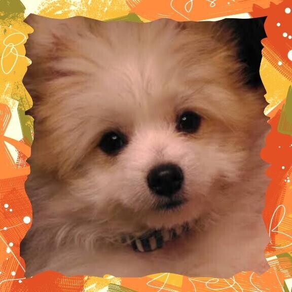 謎が解けました♪♪♪