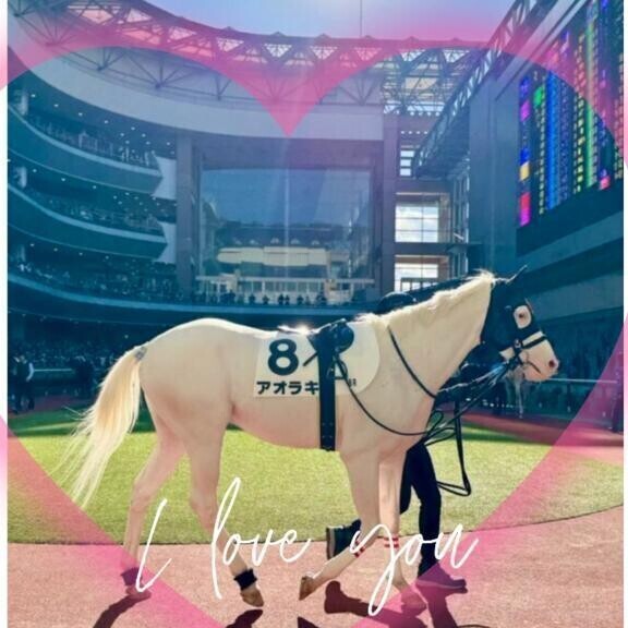 タラレバですが💦