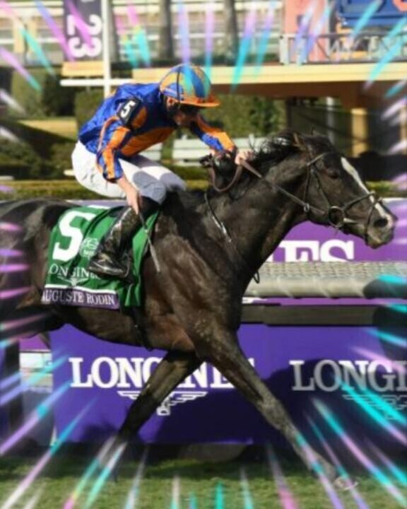 ディープ産駒の?(?ｖ?｡)?(?ｖ?｡)