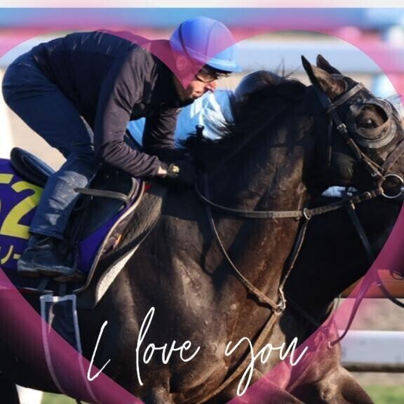 クロワ君の追い切りヽ(｀´)/