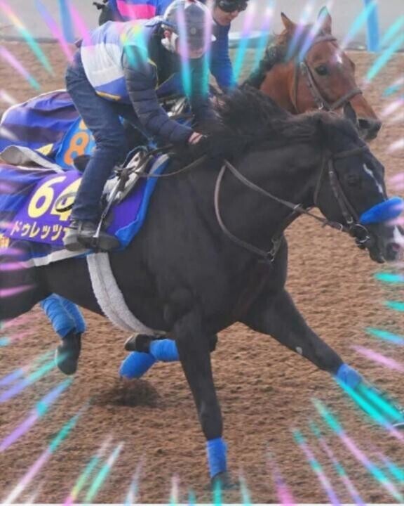 大変?大変?出走取り消し…??