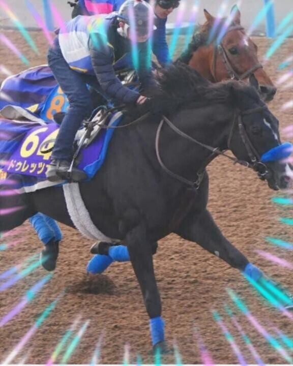 大変大変出走取り消し